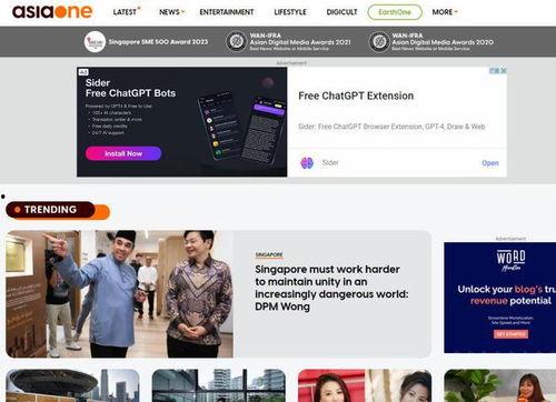 亚洲第一网站,引领潮流的数字帝国概览
