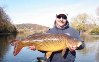 大网捕亚洲鲤鱼视频,一场生态保卫战